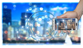 开云体育足球-中国篮球职业俱乐部财务风险管理策略研究，篮球俱乐部运营情况