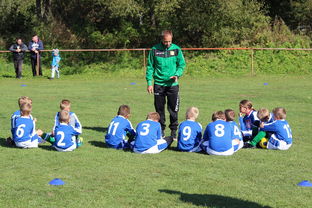 开云体育平台-德甲球队构建战术模拟平台提升临场决策能力,德甲模式