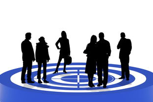 开云体育平台-运动类App用户使用偏好与市场发展趋势研究,运动app用户目标